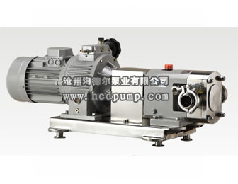 ZB3A衛(wèi)生級(jí)轉(zhuǎn)子泵